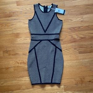 Black and cream printed bodycon dress. Lucy Paris. New with tags